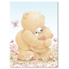 Hallmark 4張小熊紙+2張信封組 KLT1522, 混色, 1組