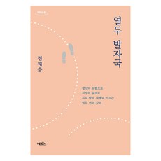 큰글자도서 열두 발자국, 정재승, 어크로스, 9791190030854