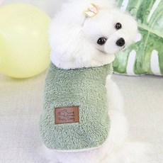 Floppy Dawg Coco Studio 小狗 Coco 粉彩連帽衫, 綠色, 1個
