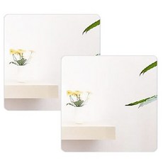해강코퍼레이션 아크릴 거울 40cm 2p