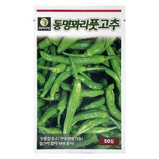 다농 동명꽈리 풋고추씨앗 50립, 1개