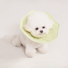 TOUCHDOG 超級狗 Mingle Pet寵物超輕量頸圈, 綠色, 1個