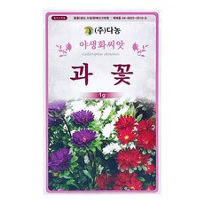 다농 과꽃 씨앗 1g, 1개 1개