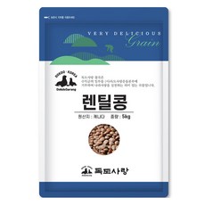 독도사랑 렌틸콩, 5kg, 1개
