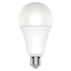 장수램프 LED 전구 벌브 화이트 15W, 1개, 전구색