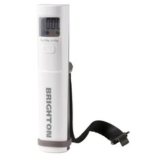 BRIGHTON 攜帶式自動充電迷你輕量電子秤 白色, BTL1702, 1個