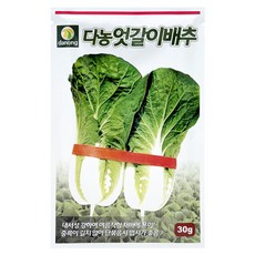 다농 엇갈이배추 씨앗 30g, 1개 1개