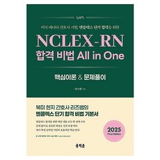 NCLEX-RN 합격 비법 All in One:미국·캐나다 간호사 시험 엔클렉스 단기 합격을 위한, 홍지문, 리즈쌤