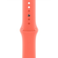 Apple 정품 애플워치 스포츠 밴드 M/L, 탠저린, 1개, 42mm
