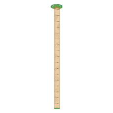 Elara身高貼紙身高計 180*13.8cm, 單品, 1個, 木頭