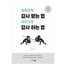똑똑하게 감사 받는 법 야무지게 감사 하는 법, 이비락, 김영수