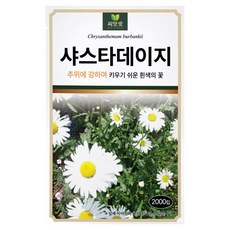 다농 씨앗애 샤스타데이지 씨앗 2000p, 1개 1개