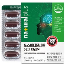 내츄럴플러스 포스파티딜세린 징코 브레인 60g, 60정, 1개 60정, 1개