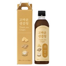 유기농마루 고마운 생강청, 1개, 1개입, 600g
