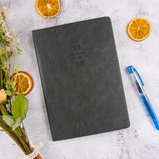 conifer 綠的事務 時錄3年誌 2026~2028年度日記本 25K 沉曜黑，三年時效鋼筆紙精裝筆記本, 25K(21.6 x 15.5 x 1.2cm), 1本, TR0125226 沉曜黑