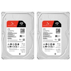 씨게이트 IronWolf PRO NAS용 HDD 2p, ST4000NT001, 4TB