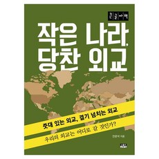 작은 나라 당찬 외교(큰글자도서), 작은 나라, 당찬 외교(큰글자도서), 안문석(저), 인물과사상사, 안문석