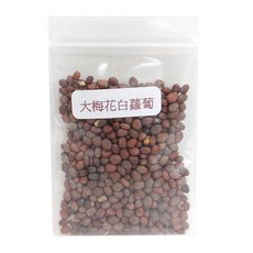 蔬菜工坊 大梅花白蘿蔔種子 C11-1, 1000個