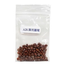 蔬菜之家 A28 葉用蘿蔔種子 200顆, 1個