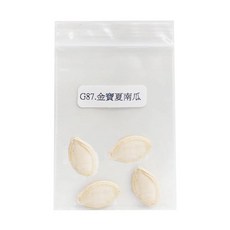 蔬菜工坊 金寶夏南瓜種子 G87 4顆, 1個