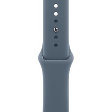 Apple 정품 2025 애플워치 스포츠 밴드 S/M, 46mm, 앵커 블루