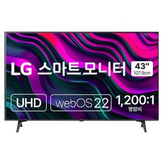 LG전자 4K UHD 스마트 모니터 방문설치, 107.9cm, 43SQ720SW