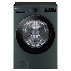 LG전자 트롬 오브제컬렉션 세탁기 21kg 방문설치, 네이처 그린, FG21GNR