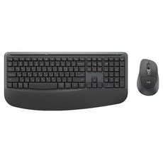 로지텍 Combo 무소음 핸드쿠션 인체공학 무선 키보드 + 마우스 세트, 그래파이트, MK880
