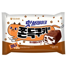 오리온 핫브레이크 쫀득쿠키바 미니 31p, 1개, 352g