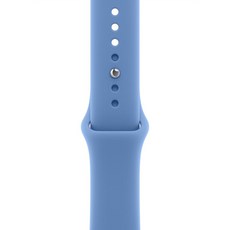 애플워치 스포츠 밴드, 와일드플라워 블루, 46mm, M/L