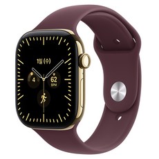 Apple 2026 애플워치 시리즈 12, 래디언트 골드, 46mm, GPS+Cellular, 티타늄, 버건디 스포츠 밴드, S/M