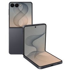 삼성전자 Galaxy Z Flip8 자급제 SM-F776N, 그라파이트, 256GB
