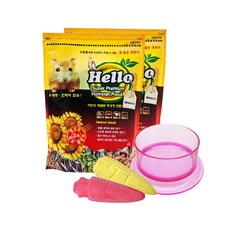 펫스토리 반려동물 HELLO 프리미엄 해바라기씨 800g x 2p + 먹이그릇(랜덤발송) + 이갈이스톤(랜덤발송) 세트, 1세트