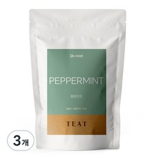닥터루트 페퍼민트 삼각티백, 1.2g, 100개입, 3개