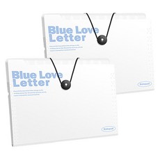 도큐모 서류 포켓 도큐먼트 파일 12칸, 화이트, 2개