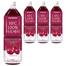 참앤들황토농원 NFC 착즙 타트체리주스, 1L, 4개