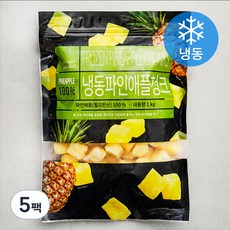 딜라잇가든 냉동 파인애플청크 필리핀산, 5팩, 1kg