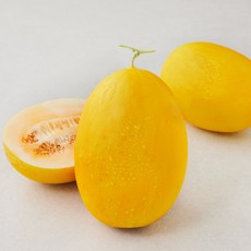 아주마 산지직송 고령 골드 하미과 메론, 2kg(2수), 1박스