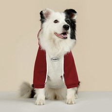 REDPUPPY 狗狗速度插肩袖連帽刷毛T恤, 紅色的, 1個
