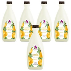 포모나 망고 스무디 시럽, 2kg, 5개
