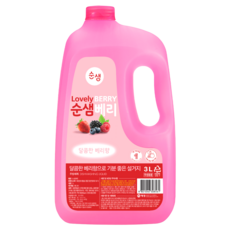 순샘 베리 주방세제 용기, 3L, 1개입