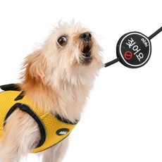 강아지와펜-추천-상품