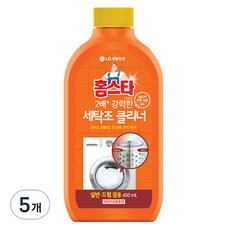 홈스타 퍼펙트 세탁조 클리너, 450ml, 5개