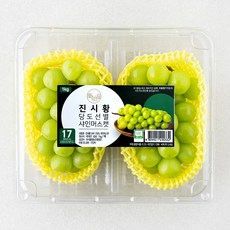 진시황 GAP 고당도 샤인머스켓, 1팩, 1kg