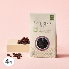 유가원 유기농 건포도 점보, 160g, 4개