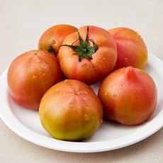 딜리조이 대저 짭짤이 토마토, 500g, 1팩