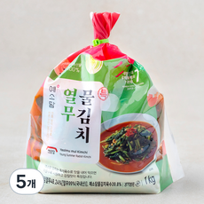 예소담 특 열무 물김치, 1kg, 5개