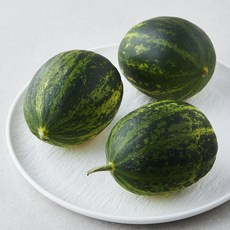 곰곰 파파야 멜론, 2.5kg(5~10입), 1박스