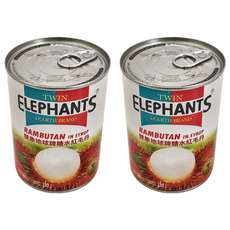 TWIN ELEPHANTS 雙象地球牌 糖水紅毛丹, 565公克, 565g, 2罐
