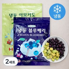 웰프레쉬 냉동블루베리 500g + 냉동아보카도 500g (냉동), 2세트